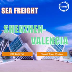 China Shenzhen China To Valencia Spain International Sea Freight Services 29 Days supplier