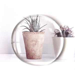 China CR39 Material, 1.499 Refractive Index, Optical Lens, Polarized Sunglasses Lens, Lens Type, Tecnis Brand, Single Vision wholesale