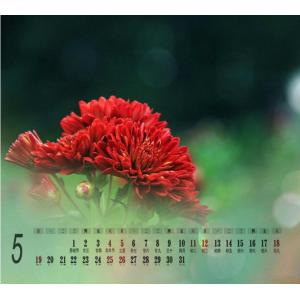 China Custom design desktop calendar. 2018 wall calendar,CMYK full color printing calendar, OEM printing calendar supplier