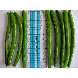 IQF Frozen Green Beans S , M Size