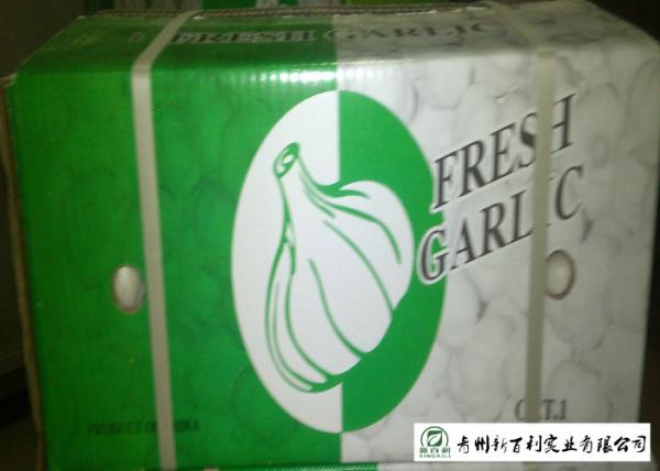 HACCP / GAP Standard Chinese Garlic 4.5 / 5.0 Cm Size Own Plantation