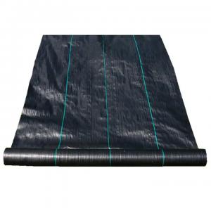 China Erosion Control PP Woven Geotextile Road Construction Fabric Alkali Resistant supplier