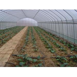 China Small Size Single Span Greenhouse , Easy Operate Polyethylene Foil Greenhouse wholesale