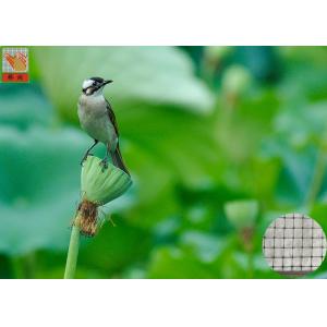 Garden Plastic Bird Netting UV Stabilised , Square Plastic Bird Mesh Black Color