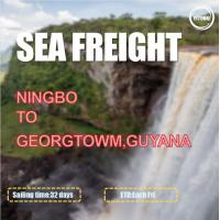 China Port To Port HPL Liner Sea Freight Logistics From Ningbo To Georgetown Guyana on sale