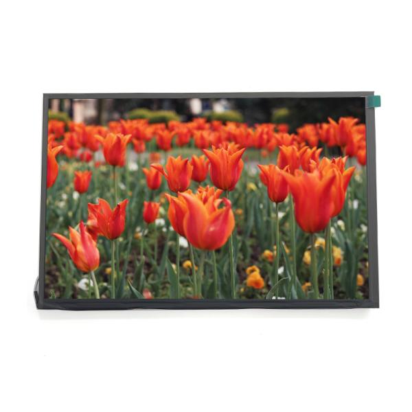 1920x1200 HD TFT LCD Display 10.1 Inch IPS Panel With LVDS Interface