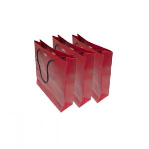 Offset Printing Personalized Paper Shopping Bags Recyclable with Hand Length Handle
