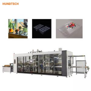 High Efficiency Multistation Tray Forming Machine Vacuum Forming Equipment