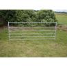 Galvanized Square Tube Livestock Fence Panel With 40X40MM For 1.5MM thickness