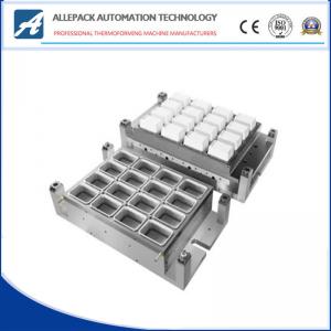 Allepack Customized Mould Thermoforming Machinery Making Plastic Products