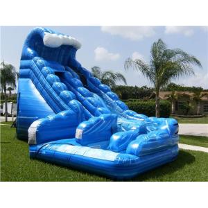 China Blue Huge Inflatable Whale Water Slide Comercial Dual Lane For Kids supplier