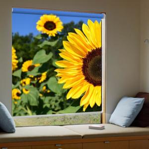 Thermal Insulated 3d Blinds For Windows SASU Approved waterproof Fabrics