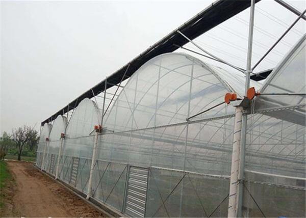 Double Layer Plastic Film Greenhouse Comprehensive Protection Designed