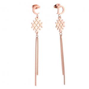 China Earring Supplier Popular Fringe Earrings Zirconia Long Gold Metal Tassel Earrings Exclusive design Tassel Earring supplier