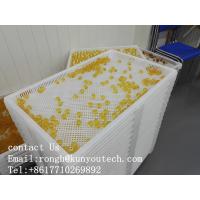 China Food Grade Large Plastic Trays For Drying Paintball / Softgel / Capsule With Certificate on sale