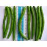 IQF Frozen Green Beans S , M Size