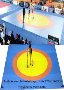 Wrestling Gymnastics Training Mats 12m 12m Square And Octagon