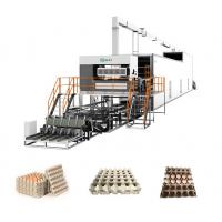 China Biodegradable Plant Pot Making Machine 200KW Bagasse Pulp Moulded Machinery on sale