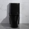 China 300mm Siphonic One Piece Toilet American Standard Black Porcelain wholesale