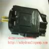 Denison T6 series T6EDC hydraulic vane pump hydraulic pump for excavator