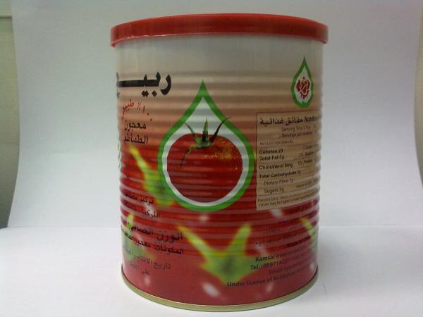 28-30% 850g tomato paste in easy open tins