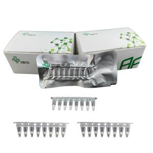 China Stable Easy Operate DNA Nucleic Acid Amplification NFO Kit wholesale