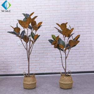 Large Potted Ficus Tree , Indoor Decoration Fake Rubber Tree Plant 5-10 Years Lifetime