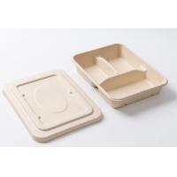 China One Time Use Dinner Plate Biodegradable Food Containers Compostable on sale