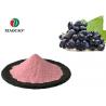 China Organic Fruit Powder Black Currant Juice Powder , Black Currant Extract Powder wholesale