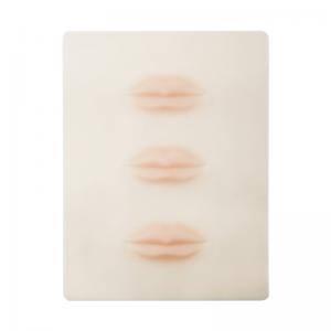 China 3D Lip Silicone Permanent Makeup Practice Skin Microblading Practice Pads supplier