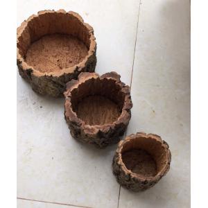 China Environmental Round Cork Bark Planter for Indoor or Outdoor Gardening supplier
