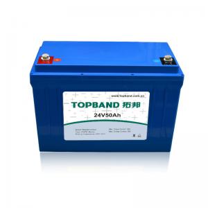 China Customized UPS Rechargeable Batteries Eco - Friendly TB2450F-M110A supplier