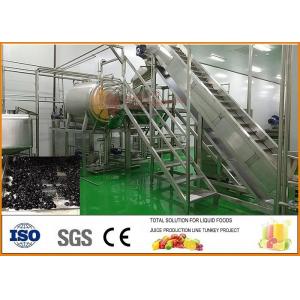 China Turnkey SS304 Blueberry Dried Fruit Production Line CFM-PB-03-22T supplier