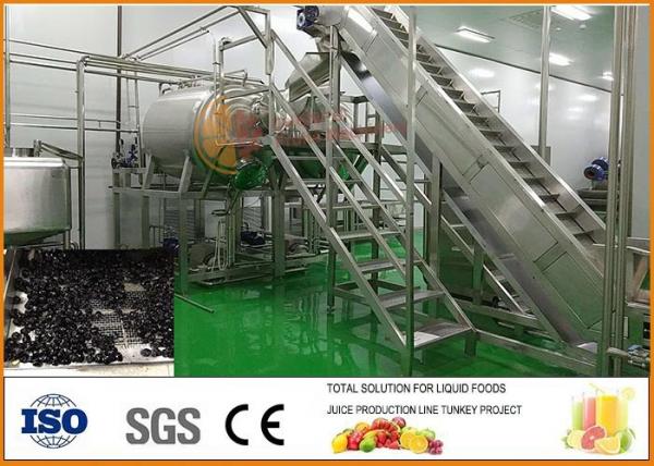 Turnkey SS304 Blueberry Dried Fruit Production Line CFM-PB-03-22T