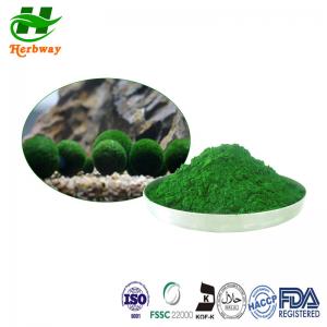 Food Grade Chlorella Extract Powder , Green Chlorella Vulgaris Powder