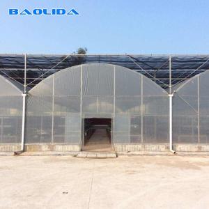 Clear Multi Span Greenhouse Hot Dip Galvanized Pipe Size Customized