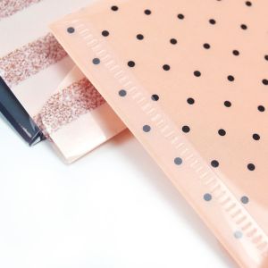 China カスタム 郵送 セキュリティ 財布 封筒 再利用 プラスチック 現金 予算 財布 wholesale