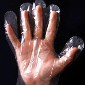 Disposable Plastic Work Gloves / Industrial Clear Vinyl Gloves For Cooking Cleaning And Food Handling