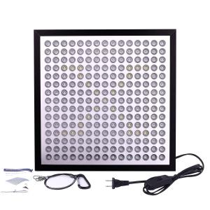 China Lightweight Energy Efficient Grow Lights Led Flowering Grow Lights 3 Years Warranty supplier