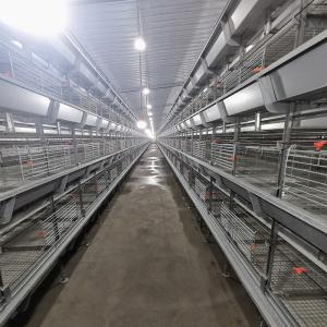 China Q235 4 Tiers Broody Hen Cage , 50000 Birds Automatic Battery Cage System supplier