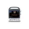China Digital Color Doppler Ultrasonic Diagnostic Instrument portable color ultrasound scanner BC30 wholesale