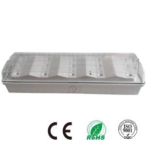 China Rechargeable Fire Retardant Waterproof Emergency Light with Battery Powered supplier