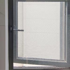 China Door Window Fly Bug Mosquito Mesh Roller Retractable Insect Screen supplier