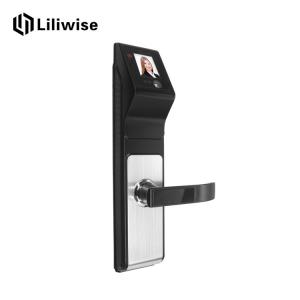 China Automatic Control Face Recognition Door Lock Zinc Alloy With 2.5 Inch LED Screen supplier