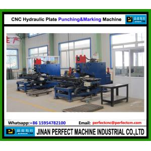 China China TOP Supplier CNC Hydraulic Plate Punching Machine CNC Tower Manufacturing Machine (PP103) supplier