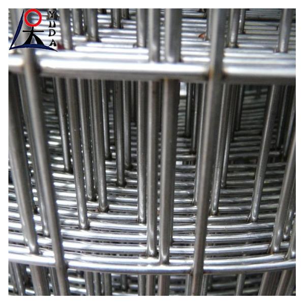 Galvanized Welded Wire Mesh Fence Roll 2x2 Fine Wire Diameter