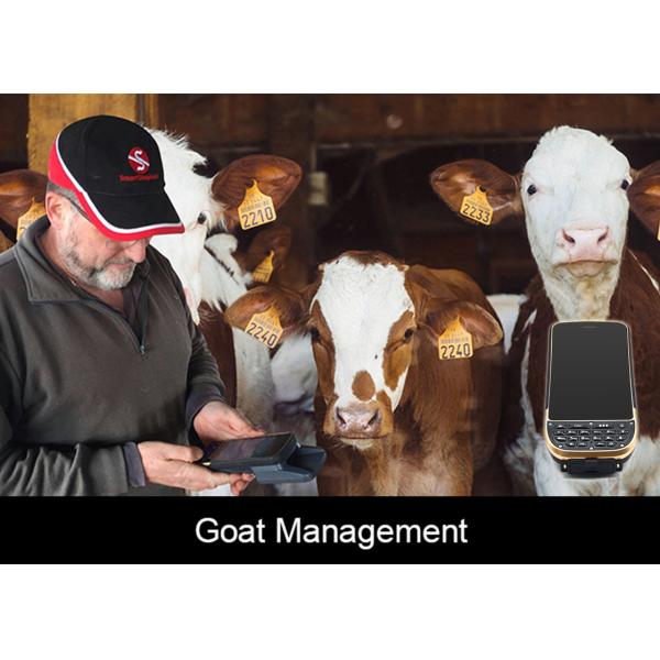 RFID Reader Function of Industrial PDA with Bluetooth,GPS,Wifi