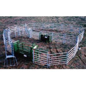 Australia Pipe Galvanized Round 1.6m High Steel Corral Panels
