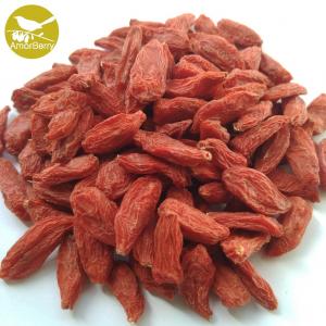 Amorberry China NingXia dried Goji berry for tea or medicine use OEM Goji barries nutrient supplements Bulk wholesale