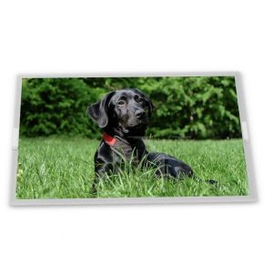 China 3.5-Inch WLED TFT LCD Display Module COM35H3P58ULC 320*24 Resolution LED Backlight Panel Specific Application ODM Supplier wholesale